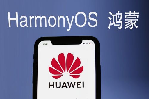 鸿蒙成国之重器，七龙业绩称王 六月重仓基础软件正当时